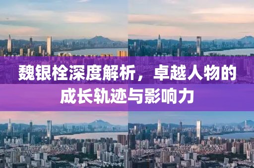 魏银栓深度解析，卓越人物的成长轨迹与影响力