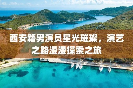 西安籍男演员星光璀璨，演艺之路漫漫探索之旅