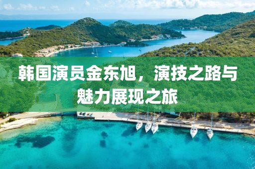韩国演员金东旭，演技之路与魅力展现之旅