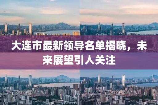 大连市最新领导名单揭晓，未来展望引人关注