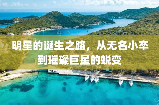 明星的诞生之路，从无名小卒到璀璨巨星的蜕变