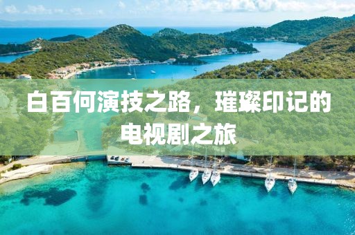 白百何演技之路，璀璨印记的电视剧之旅