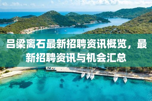 吕梁离石最新招聘资讯概览，最新招聘资讯与机会汇总