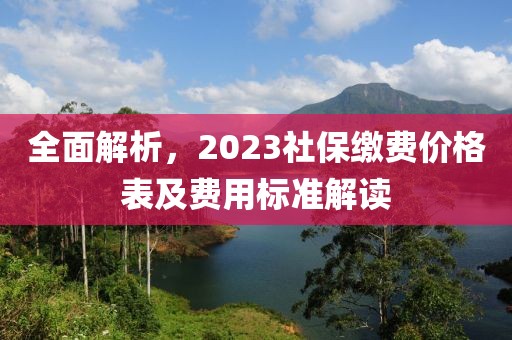 全面解析，2023社保缴费价格表及费用标准解读