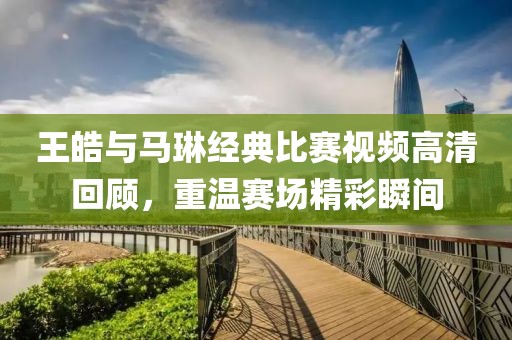王皓与马琳经典比赛视频高清回顾，重温赛场精彩瞬间