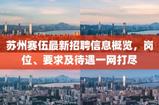 苏州赛伍最新招聘信息概览，岗位、要求及待遇一网打尽