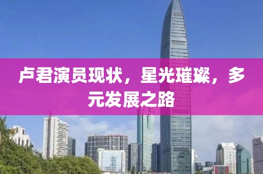 卢君演员现状，星光璀璨，多元发展之路