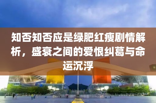 知否知否应是绿肥红瘦剧情解析，盛衰之间的爱恨纠葛与命运沉浮
