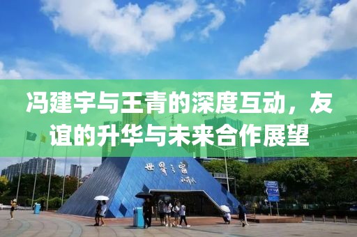 冯建宇与王青的深度互动，友谊的升华与未来合作展望