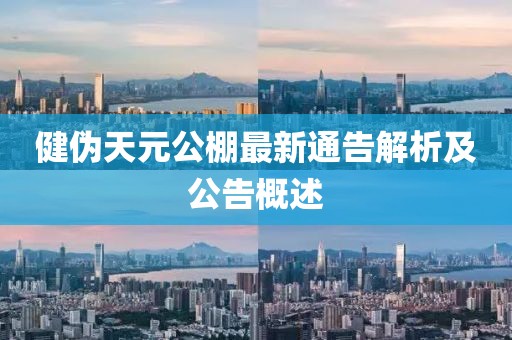 健伪天元公棚最新通告解析及公告概述
