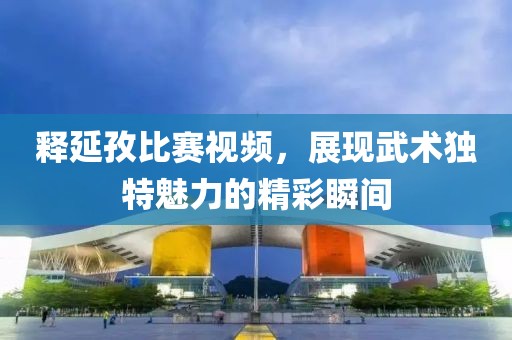 释延孜比赛视频，展现武术独特魅力的精彩瞬间