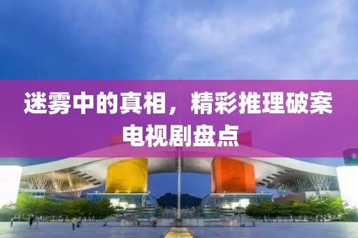 迷雾中的真相，精彩推理破案电视剧盘点