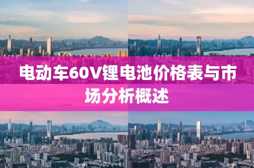 电动车60V锂电池价格表与市场分析概述