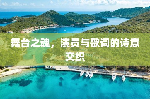 舞台之魂，演员与歌词的诗意交织