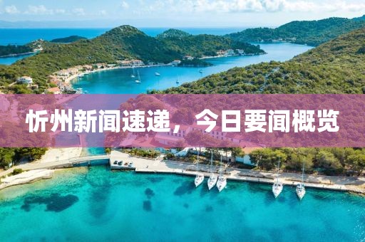忻州新闻速递，今日要闻概览