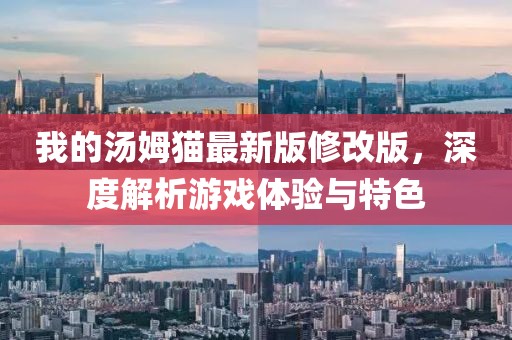 我的汤姆猫最新版修改版，深度解析游戏体验与特色