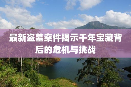 最新盗墓案件揭示千年宝藏背后的危机与挑战