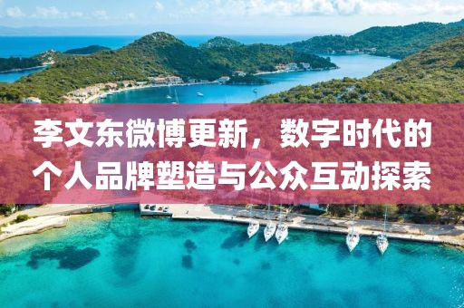 李文东微博更新，数字时代的个人品牌塑造与公众互动探索