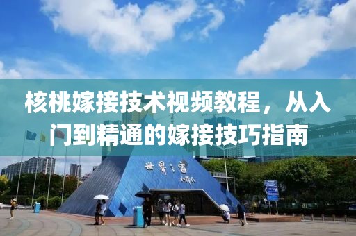 核桃嫁接技术视频教程，从入门到精通的嫁接技巧指南