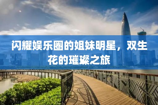 闪耀娱乐圈的姐妹明星，双生花的璀璨之旅