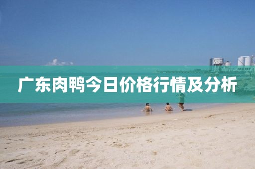广东肉鸭今日价格行情及分析