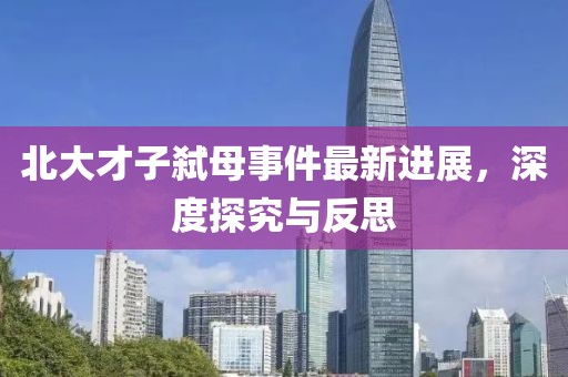 北大才子弑母事件最新进展，深度探究与反思