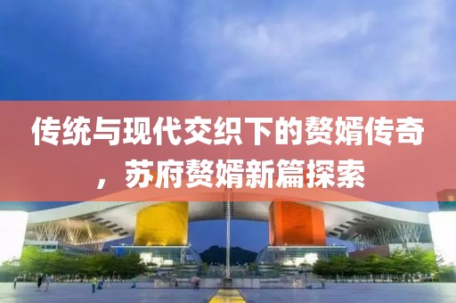 传统与现代交织下的赘婿传奇，苏府赘婿新篇探索