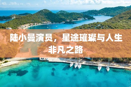 陆小曼演员，星途璀璨与人生非凡之路