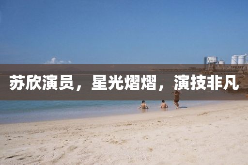 苏欣演员，星光熠熠，演技非凡