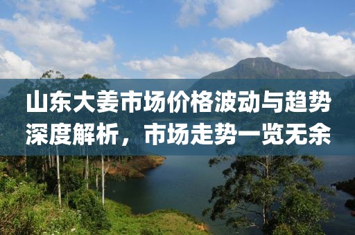山东大姜市场价格波动与趋势深度解析，市场走势一览无余