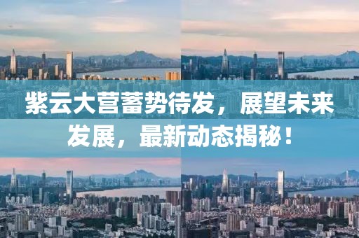 紫云大营蓄势待发，展望未来发展，最新动态揭秘！