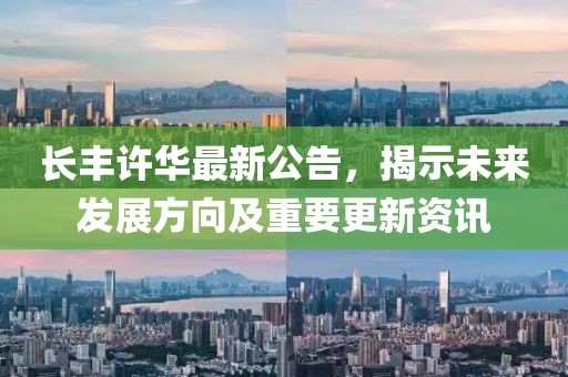 长丰许华最新公告，揭示未来发展方向及重要更新资讯
