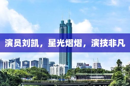 演员刘凯，星光熠熠，演技非凡