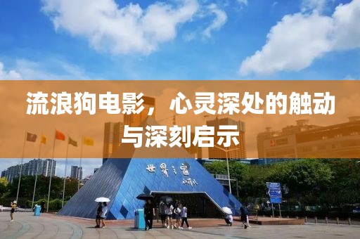 流浪狗电影，心灵深处的触动与深刻启示
