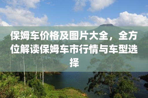 保姆车价格及图片大全，全方位解读保姆车市行情与车型选择