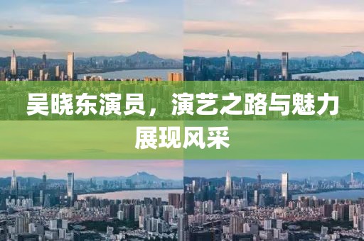 吴晓东演员，演艺之路与魅力展现风采