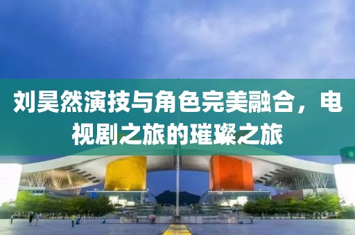 刘昊然演技与角色完美融合，电视剧之旅的璀璨之旅
