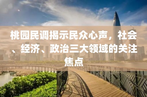 桃园民调揭示民众心声，社会、经济、政治三大领域的关注焦点