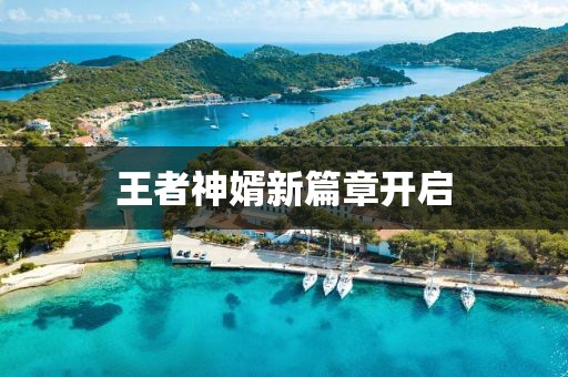 王者神婿新篇章开启