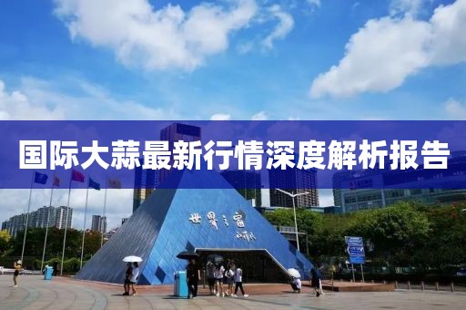 国际大蒜最新行情深度解析报告