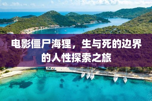 电影僵尸海狸，生与死的边界的人性探索之旅