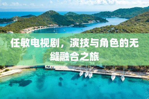 任敏电视剧，演技与角色的无缝融合之旅