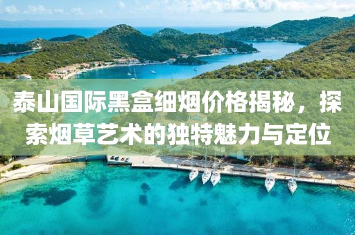 泰山国际黑盒细烟价格揭秘，探索烟草艺术的独特魅力与定位