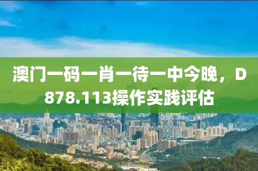 澳门一码一肖一待一中今晚，D878.113操作实践评估