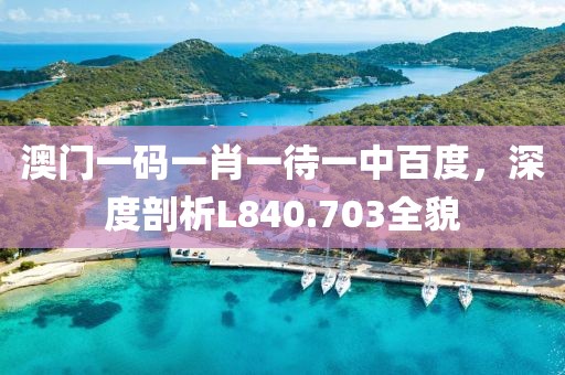 澳门一码一肖一待一中百度，深度剖析L840.703全貌