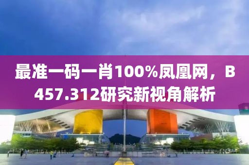 最准一码一肖100%凤凰网，B457.312研究新视角解析