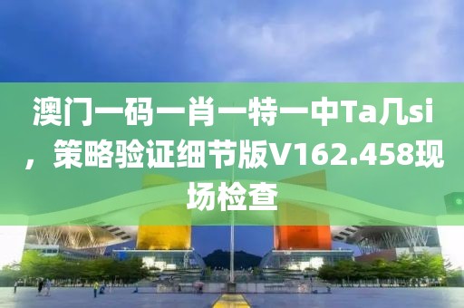 澳门一码一肖一特一中Ta几si，策略验证细节版V162.458现场检查