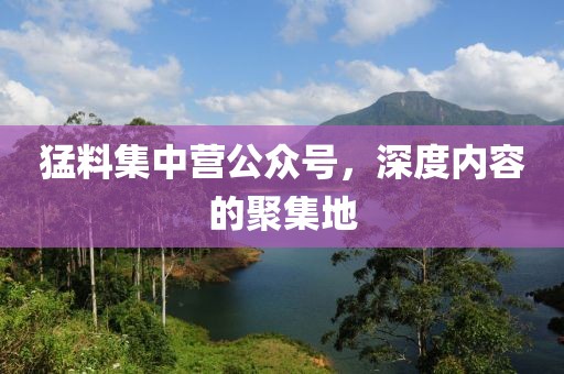 猛料集中营公众号，深度内容的聚集地