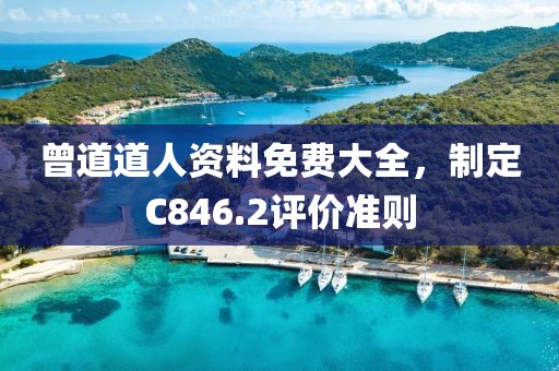 曾道道人资料免费大全，制定C846.2评价准则