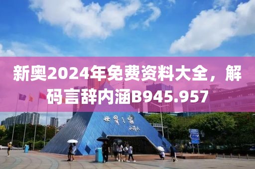 新奥2024年免费资料大全，解码言辞内涵B945.957